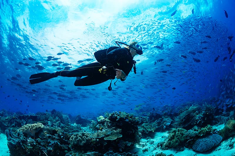 Scuba diving là hoạt động gì?