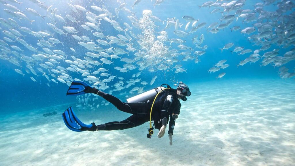 Scuba diving thường xuyên giúp cơ thể trở nên tốt hơn